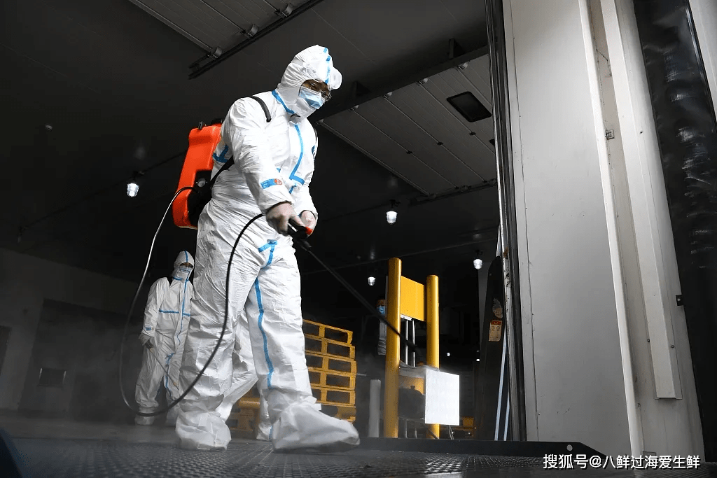 夏洛特黄蜂迎社区盾关键赛，清晨迎来里程碑，压力陡增，数据趋势出现新变化